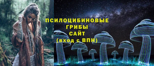 a pvp Дмитровск