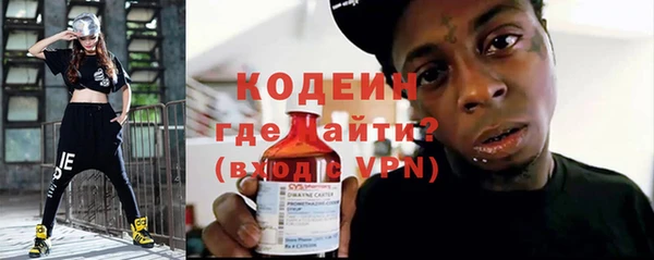 spice Дмитриев
