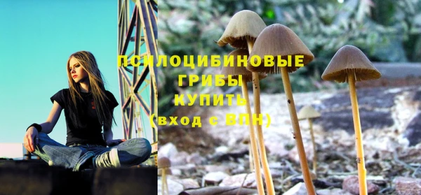 mdpv Гусиноозёрск