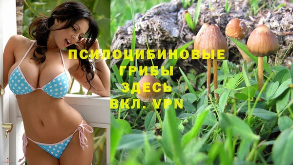 прущая мука Гусь-Хрустальный